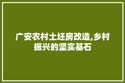 广安农村土坯房改造,乡村振兴的坚实基石