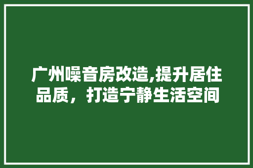 广州噪音房改造,提升居住品质，打造宁静生活空间