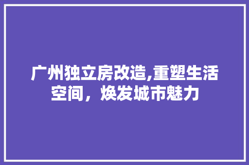 广州独立房改造,重塑生活空间，焕发城市魅力