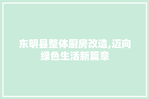 东明县整体厨房改造,迈向绿色生活新篇章