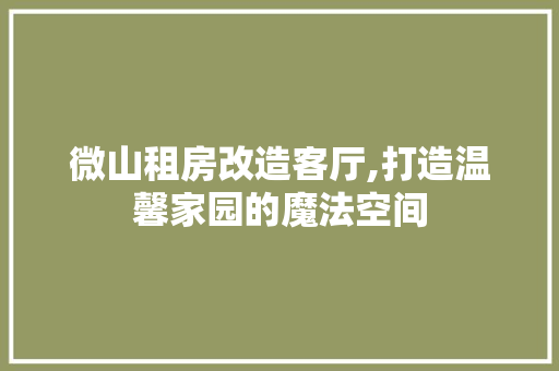 微山租房改造客厅,打造温馨家园的魔法空间