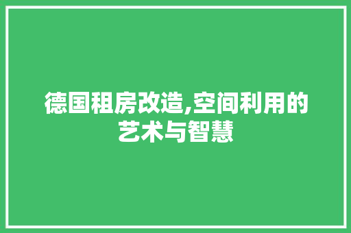 德国租房改造,空间利用的艺术与智慧