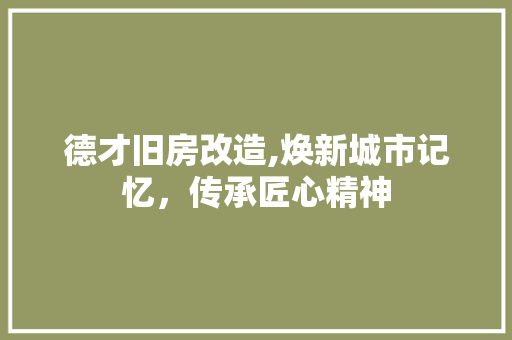 德才旧房改造,焕新城市记忆，传承匠心精神