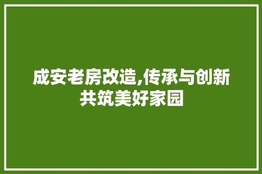 成安老房改造,传承与创新共筑美好家园