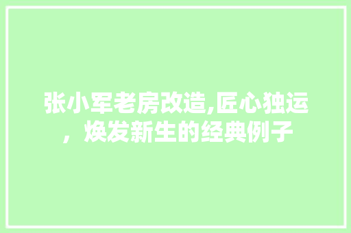 张小军老房改造,匠心独运，焕发新生的经典例子