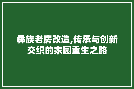 彝族老房改造,传承与创新交织的家园重生之路