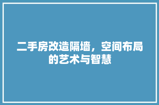 二手房改造隔墙，空间布局的艺术与智慧