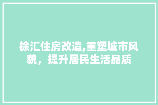 徐汇住房改造,重塑城市风貌，提升居民生活品质