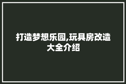打造梦想乐园,玩具房改造大全介绍