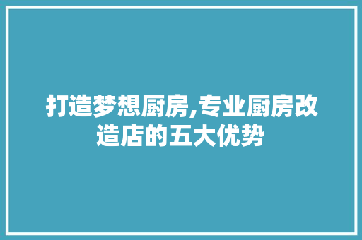 打造梦想厨房,专业厨房改造店的五大优势
