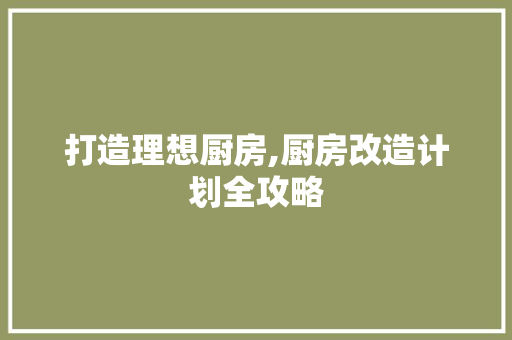 打造理想厨房,厨房改造计划全攻略