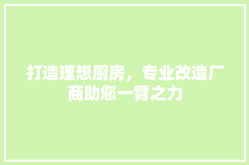 打造理想厨房，专业改造厂商助您一臂之力