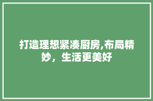 打造理想紧凑厨房,布局精妙，生活更美好
