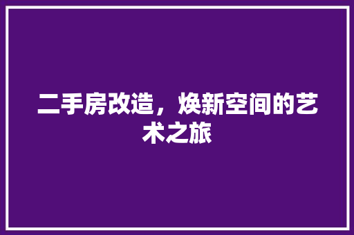 二手房改造，焕新空间的艺术之旅