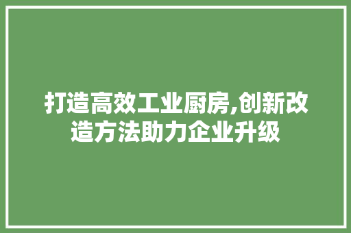 打造高效工业厨房,创新改造方法助力企业升级