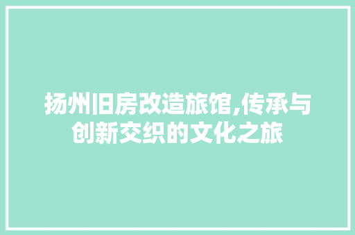 扬州旧房改造旅馆,传承与创新交织的文化之旅