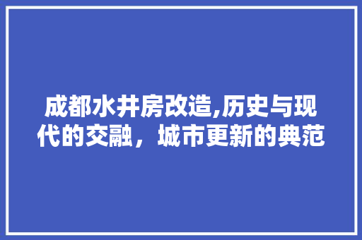 成都水井房改造,历史与现代的交融，城市更新的典范
