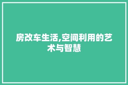 房改车生活,空间利用的艺术与智慧