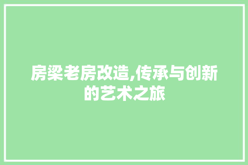 房梁老房改造,传承与创新的艺术之旅