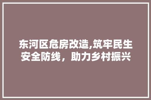 东河区危房改造,筑牢民生安全防线，助力乡村振兴