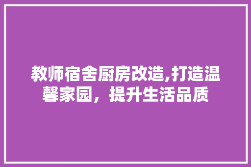 教师宿舍厨房改造,打造温馨家园，提升生活品质
