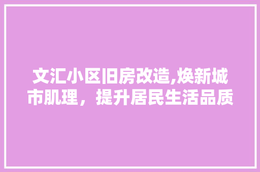 文汇小区旧房改造,焕新城市肌理，提升居民生活品质