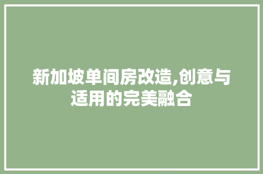新加坡单间房改造,创意与适用的完美融合
