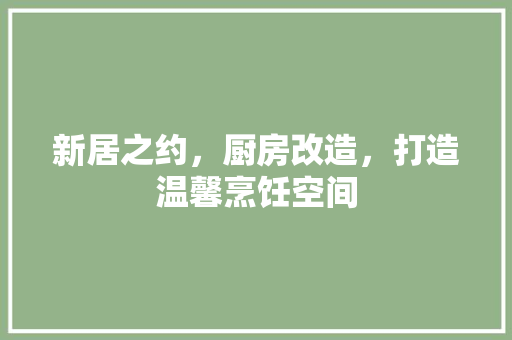 新居之约，厨房改造，打造温馨烹饪空间