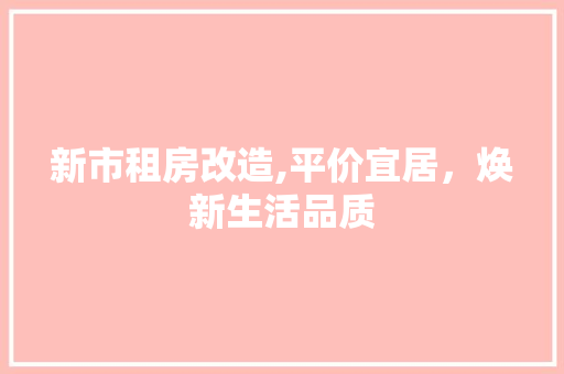 新市租房改造,平价宜居，焕新生活品质