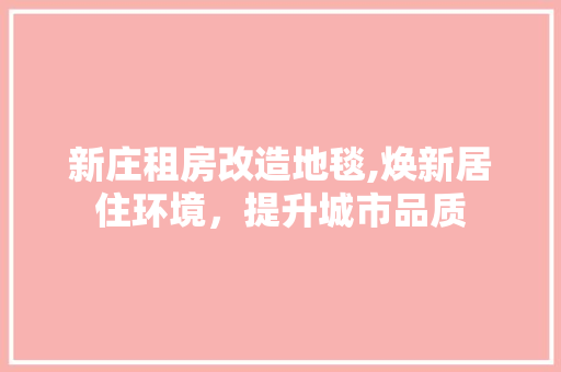 新庄租房改造地毯,焕新居住环境，提升城市品质 隔断设计