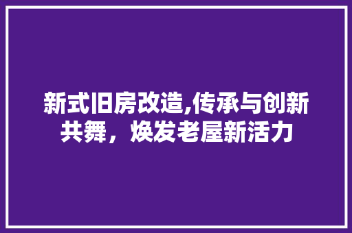 新式旧房改造,传承与创新共舞，焕发老屋新活力