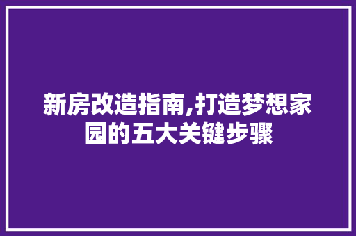 新房改造指南,打造梦想家园的五大关键步骤
