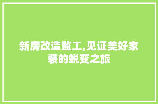 新房改造监工,见证美好家装的蜕变之旅