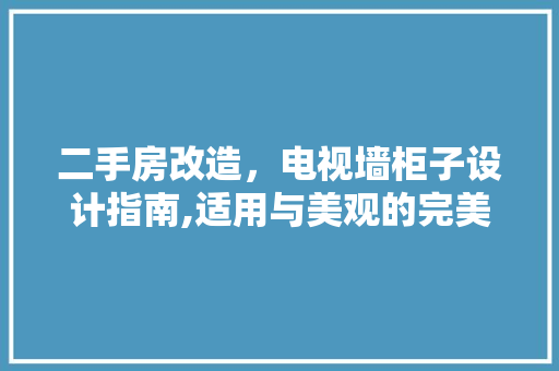 二手房改造，电视墙柜子设计指南,适用与美观的完美融合