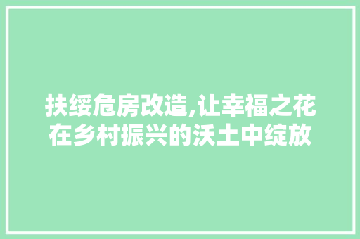 扶绥危房改造,让幸福之花在乡村振兴的沃土中绽放