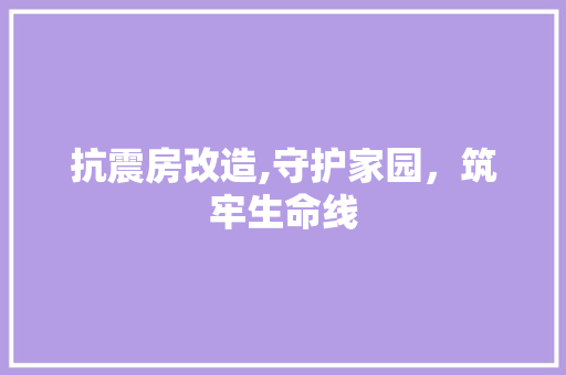 抗震房改造,守护家园，筑牢生命线