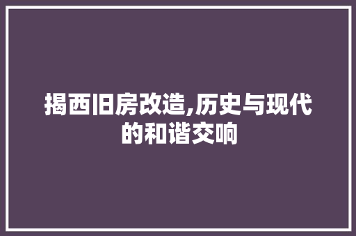 揭西旧房改造,历史与现代的和谐交响 装修攻略