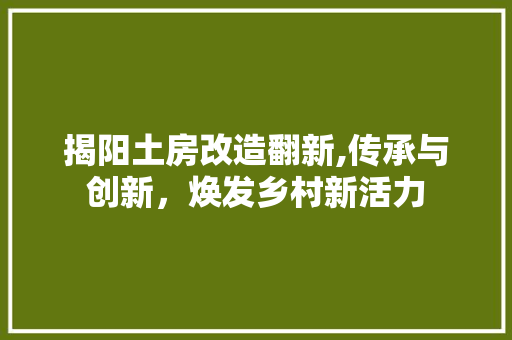 揭阳土房改造翻新,传承与创新，焕发乡村新活力