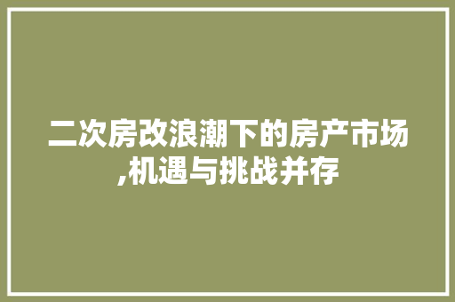 二次房改浪潮下的房产市场,机遇与挑战并存