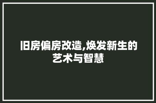 旧房偏房改造,焕发新生的艺术与智慧