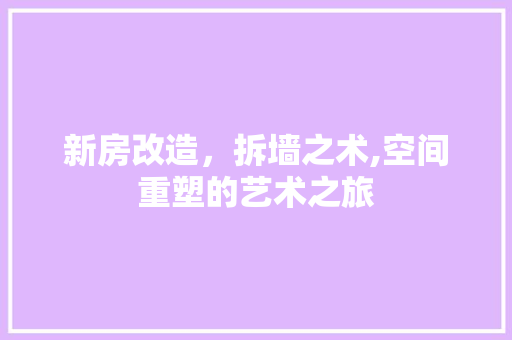 新房改造，拆墙之术,空间重塑的艺术之旅