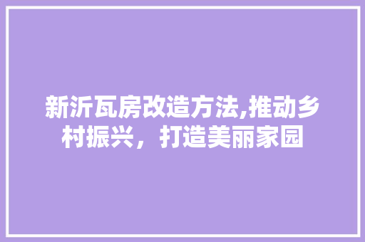 新沂瓦房改造方法,推动乡村振兴，打造美丽家园