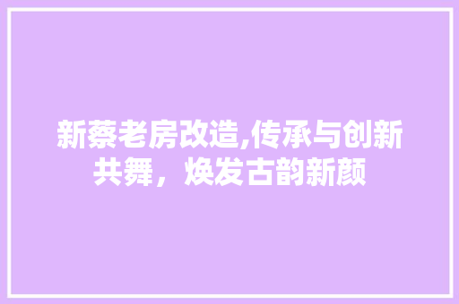 新蔡老房改造,传承与创新共舞，焕发古韵新颜