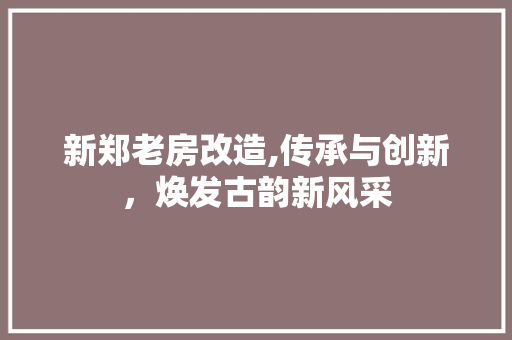 新郑老房改造,传承与创新，焕发古韵新风采