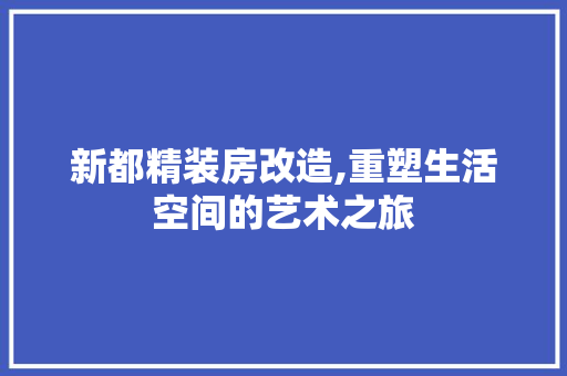 新都精装房改造,重塑生活空间的艺术之旅