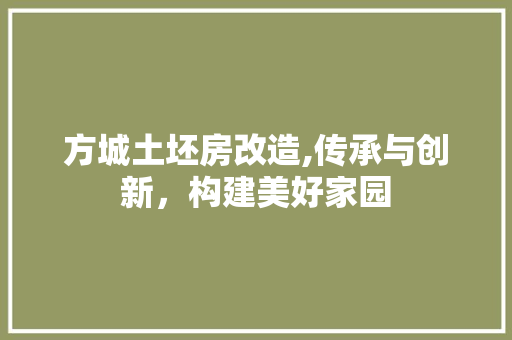方城土坯房改造,传承与创新，构建美好家园