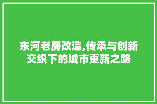 东河老房改造,传承与创新交织下的城市更新之路
