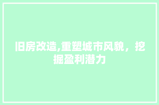 旧房改造,重塑城市风貌，挖掘盈利潜力