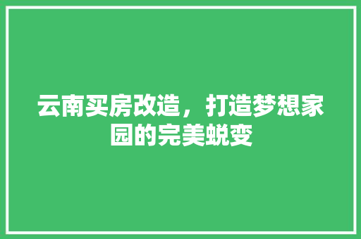 云南买房改造，打造梦想家园的完美蜕变