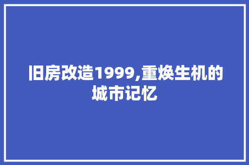 旧房改造1999,重焕生机的城市记忆